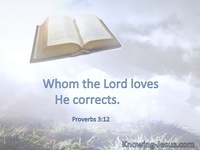 Proverbs 3:12
